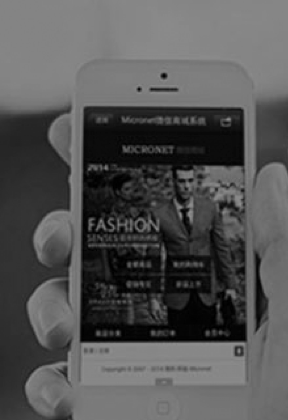 微商、电商